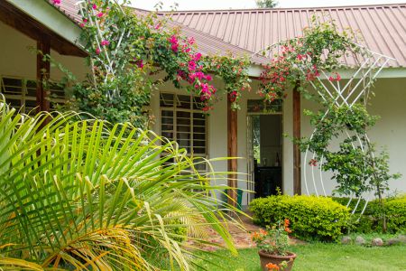 Guesthouse-IV